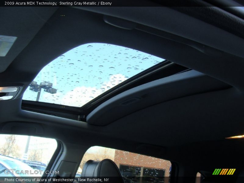 Sterling Gray Metallic / Ebony 2009 Acura MDX Technology