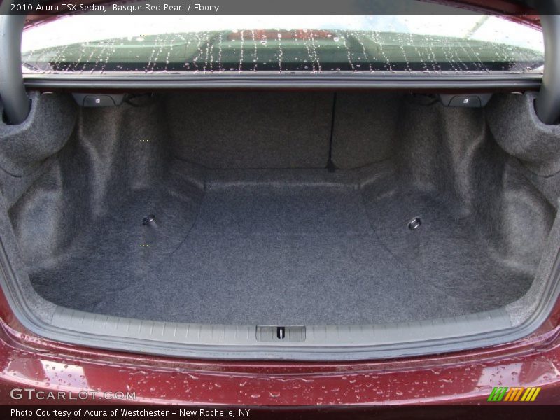 Basque Red Pearl / Ebony 2010 Acura TSX Sedan