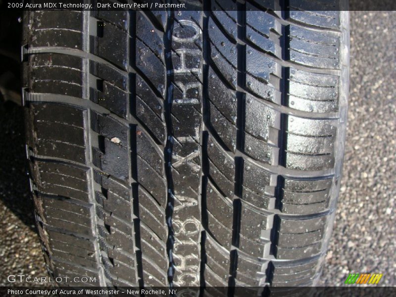 Dark Cherry Pearl / Parchment 2009 Acura MDX Technology