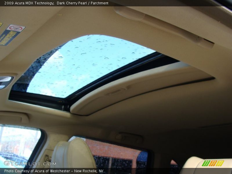 Dark Cherry Pearl / Parchment 2009 Acura MDX Technology
