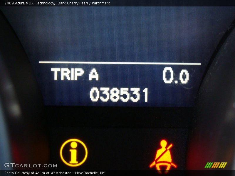 Dark Cherry Pearl / Parchment 2009 Acura MDX Technology