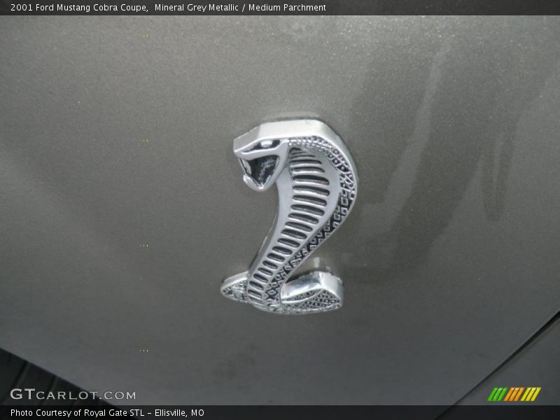 Mineral Grey Metallic / Medium Parchment 2001 Ford Mustang Cobra Coupe