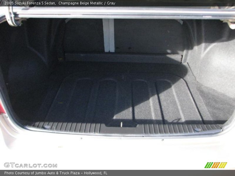 Champagne Beige Metallic / Gray 2005 Suzuki Forenza S Sedan