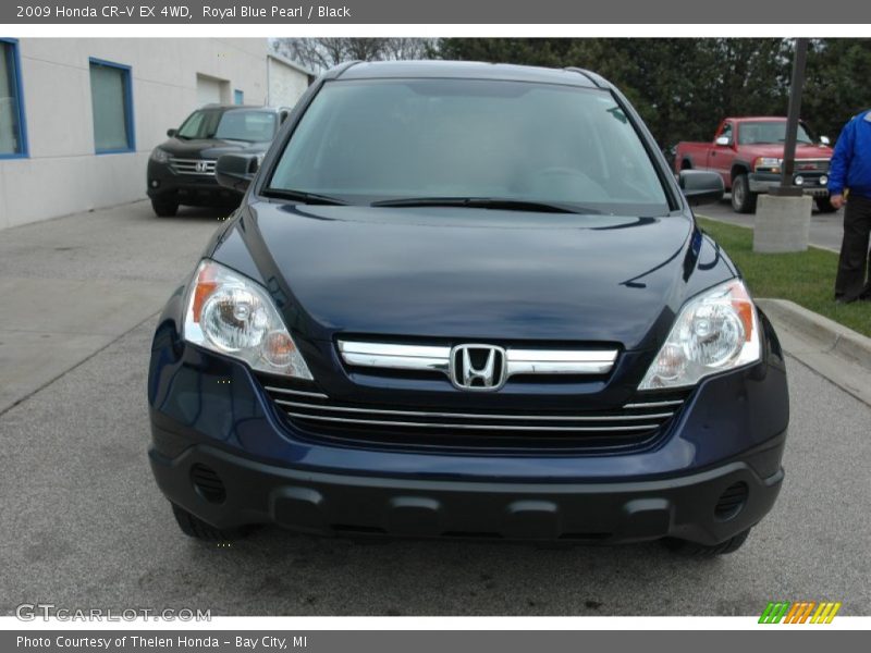 Royal Blue Pearl / Black 2009 Honda CR-V EX 4WD