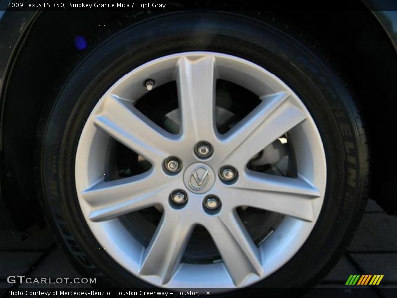 Smokey Granite Mica / Light Gray 2009 Lexus ES 350