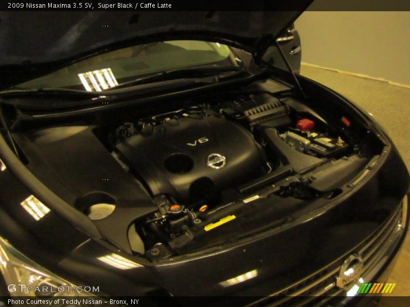 Super Black / Caffe Latte 2009 Nissan Maxima 3.5 SV