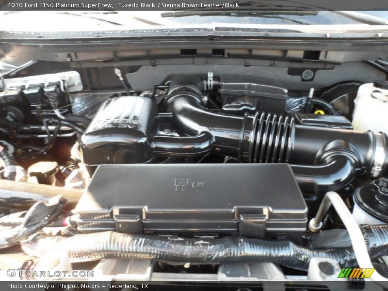 Tuxedo Black / Sienna Brown Leather/Black 2010 Ford F150 Platinum SuperCrew