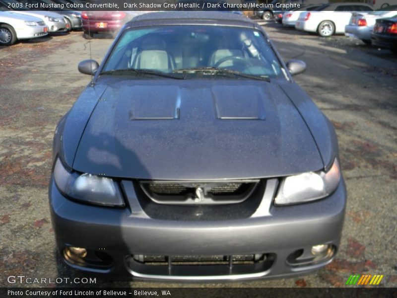 Dark Shadow Grey Metallic / Dark Charcoal/Medium Graphite 2003 Ford Mustang Cobra Convertible