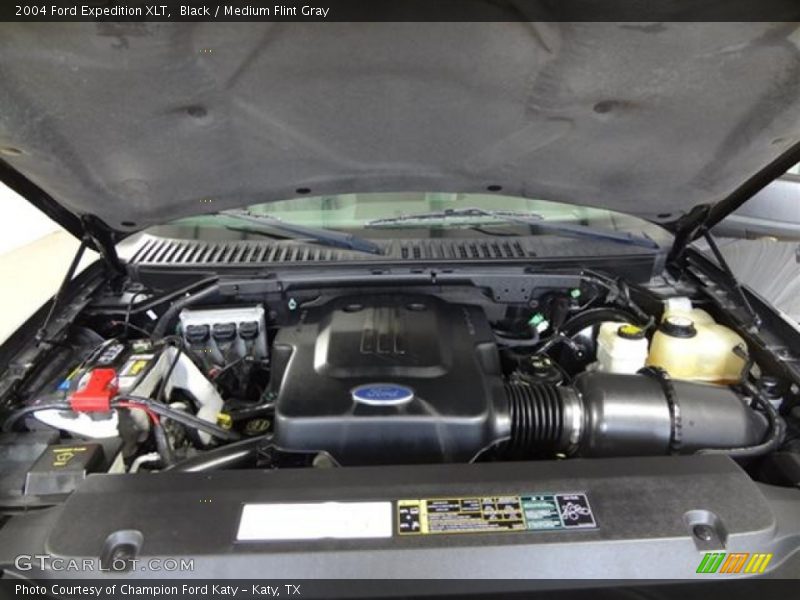 Black / Medium Flint Gray 2004 Ford Expedition XLT