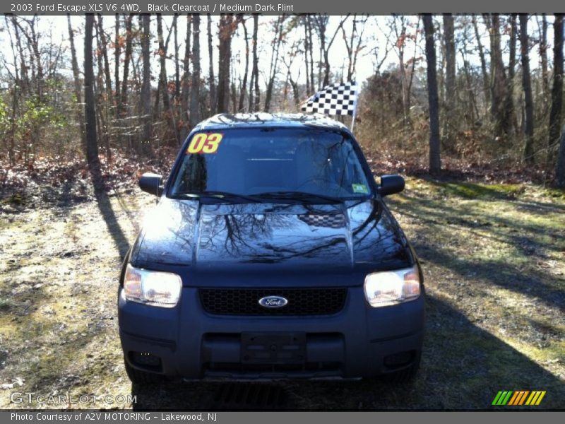 Black Clearcoat / Medium Dark Flint 2003 Ford Escape XLS V6 4WD