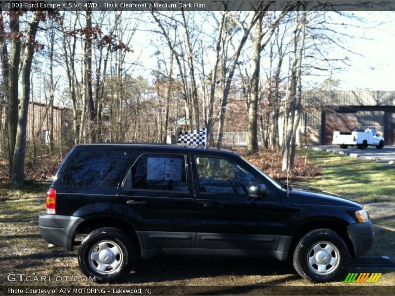 Black Clearcoat / Medium Dark Flint 2003 Ford Escape XLS V6 4WD