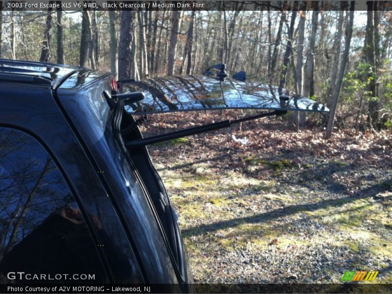 Black Clearcoat / Medium Dark Flint 2003 Ford Escape XLS V6 4WD