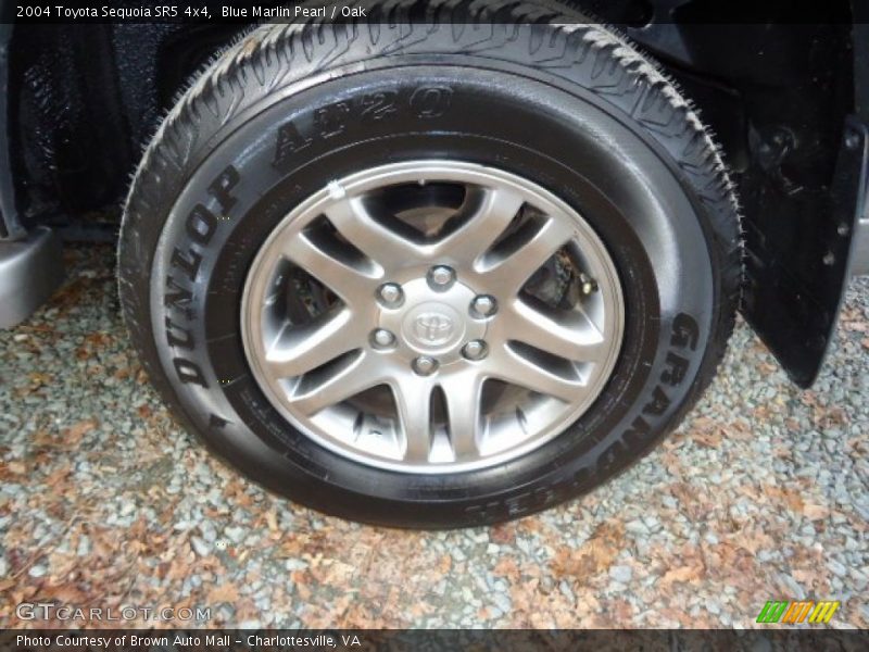Blue Marlin Pearl / Oak 2004 Toyota Sequoia SR5 4x4