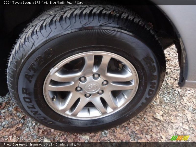 Blue Marlin Pearl / Oak 2004 Toyota Sequoia SR5 4x4