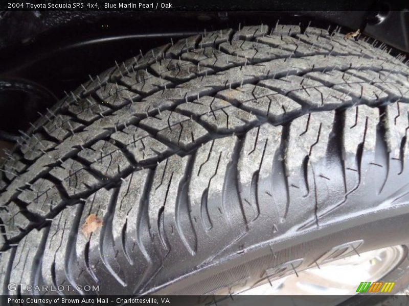 Blue Marlin Pearl / Oak 2004 Toyota Sequoia SR5 4x4