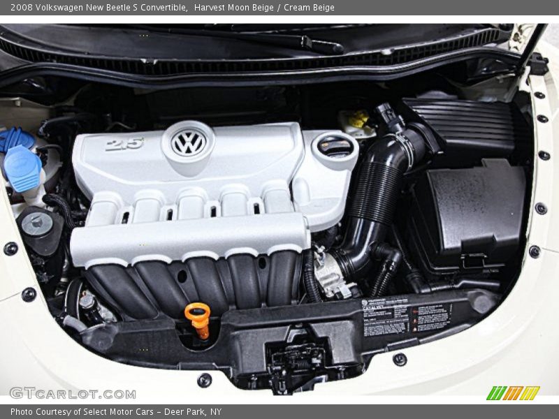 Harvest Moon Beige / Cream Beige 2008 Volkswagen New Beetle S Convertible