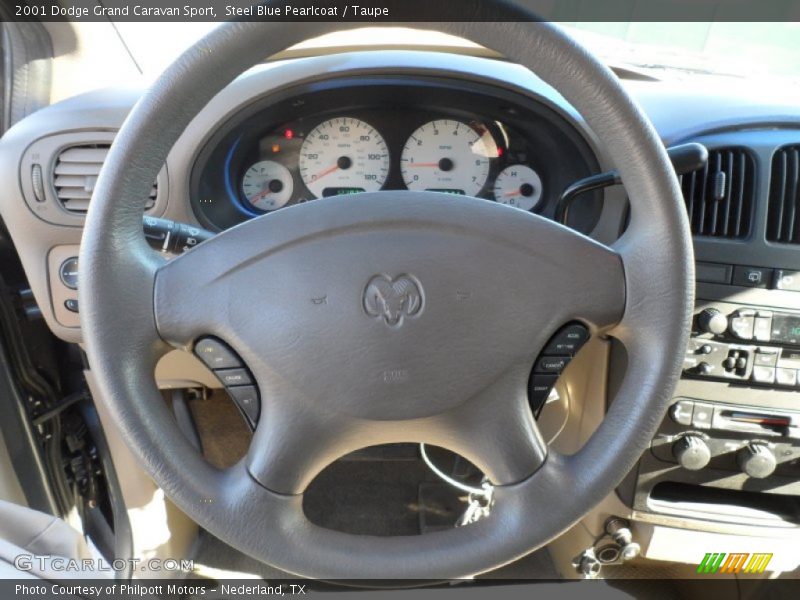  2001 Grand Caravan Sport Steering Wheel
