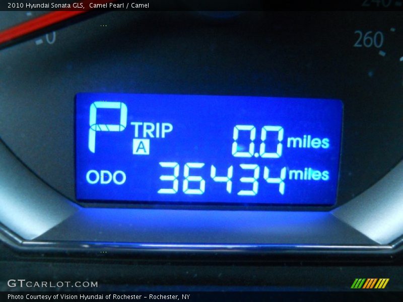 Camel Pearl / Camel 2010 Hyundai Sonata GLS