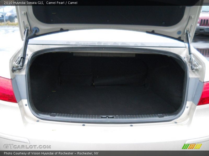 Camel Pearl / Camel 2010 Hyundai Sonata GLS
