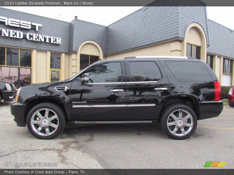 Black Ice / Ebony 2010 Cadillac Escalade Premium