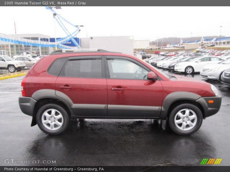 Mesa Red / Gray 2005 Hyundai Tucson GLS V6