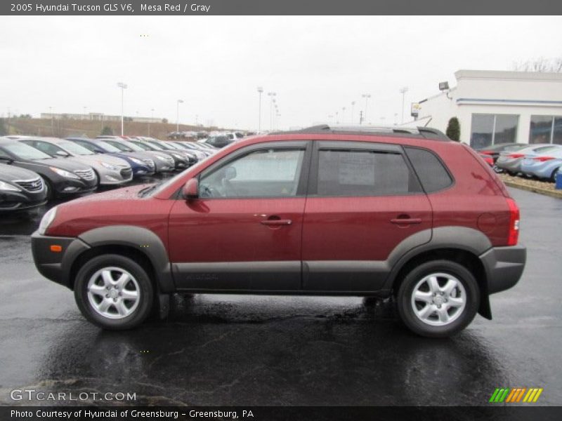 Mesa Red / Gray 2005 Hyundai Tucson GLS V6