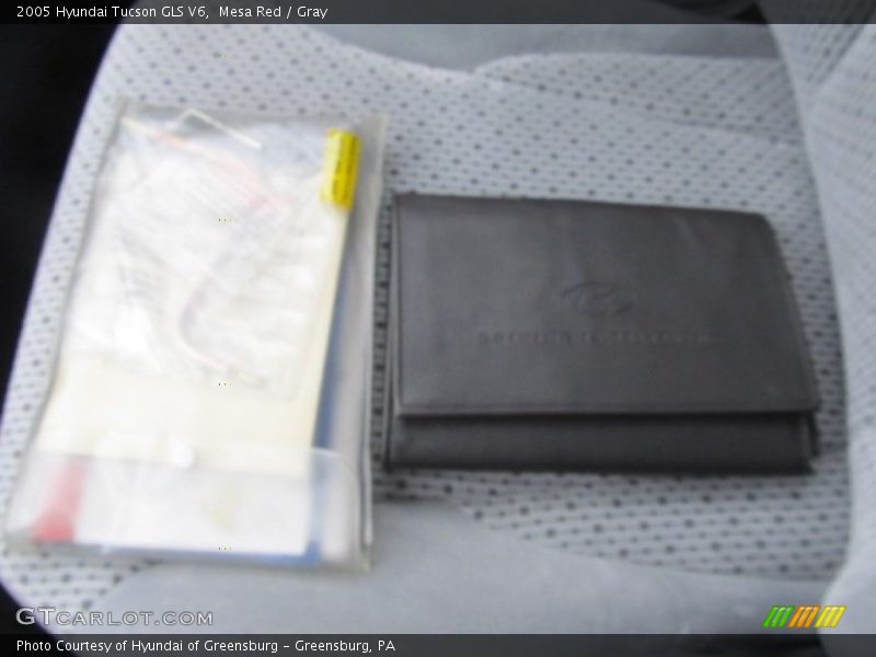 Mesa Red / Gray 2005 Hyundai Tucson GLS V6