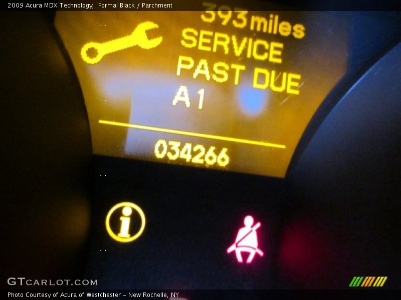 Formal Black / Parchment 2009 Acura MDX Technology