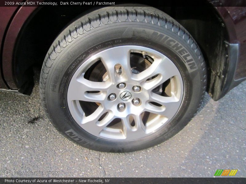 Dark Cherry Pearl / Parchment 2009 Acura MDX Technology