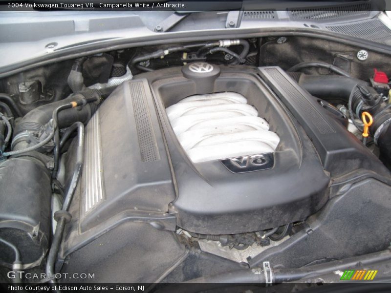 Campanella White / Anthracite 2004 Volkswagen Touareg V8