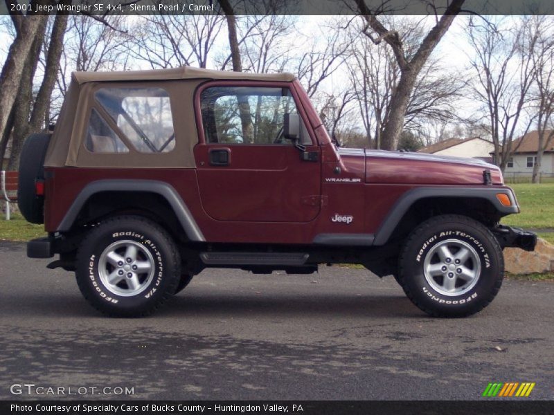  2001 Wrangler SE 4x4 Sienna Pearl