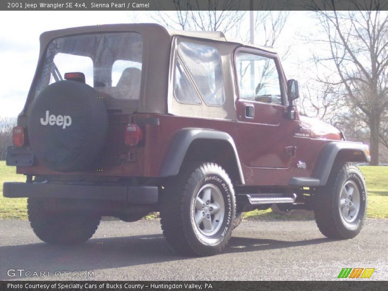 Sienna Pearl / Camel 2001 Jeep Wrangler SE 4x4