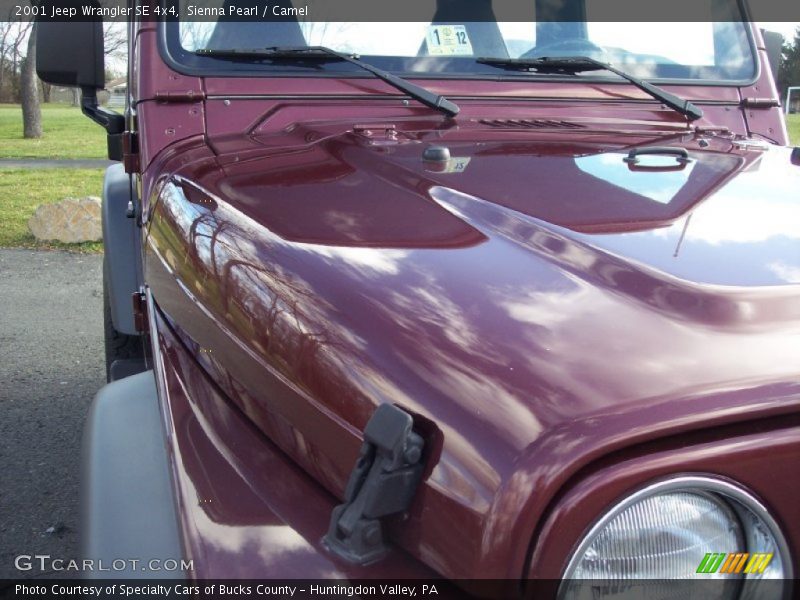 Sienna Pearl / Camel 2001 Jeep Wrangler SE 4x4
