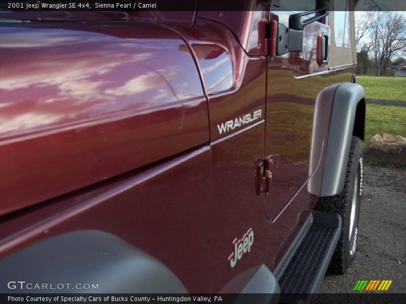 Sienna Pearl / Camel 2001 Jeep Wrangler SE 4x4