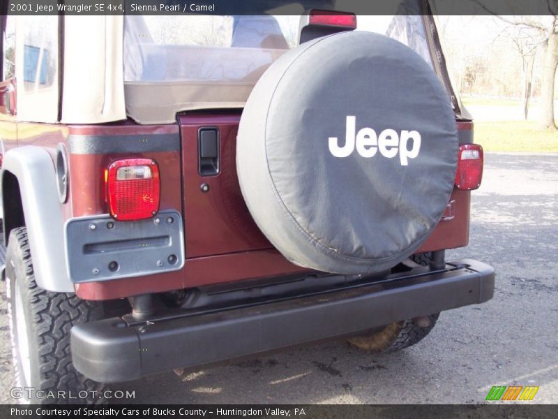 Sienna Pearl / Camel 2001 Jeep Wrangler SE 4x4