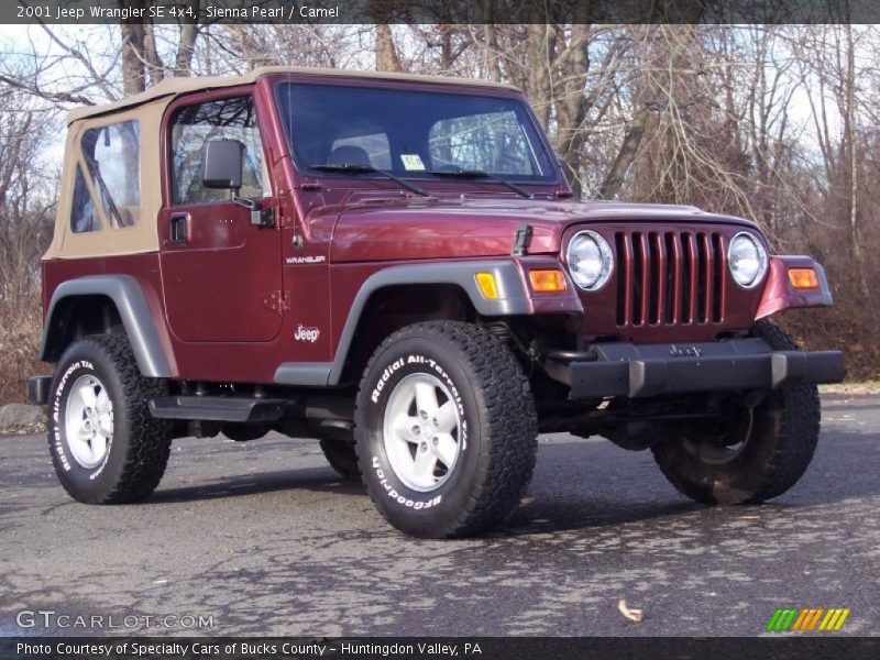 Sienna Pearl / Camel 2001 Jeep Wrangler SE 4x4