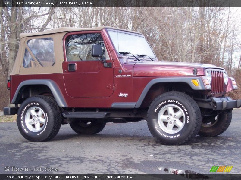 Sienna Pearl / Camel 2001 Jeep Wrangler SE 4x4