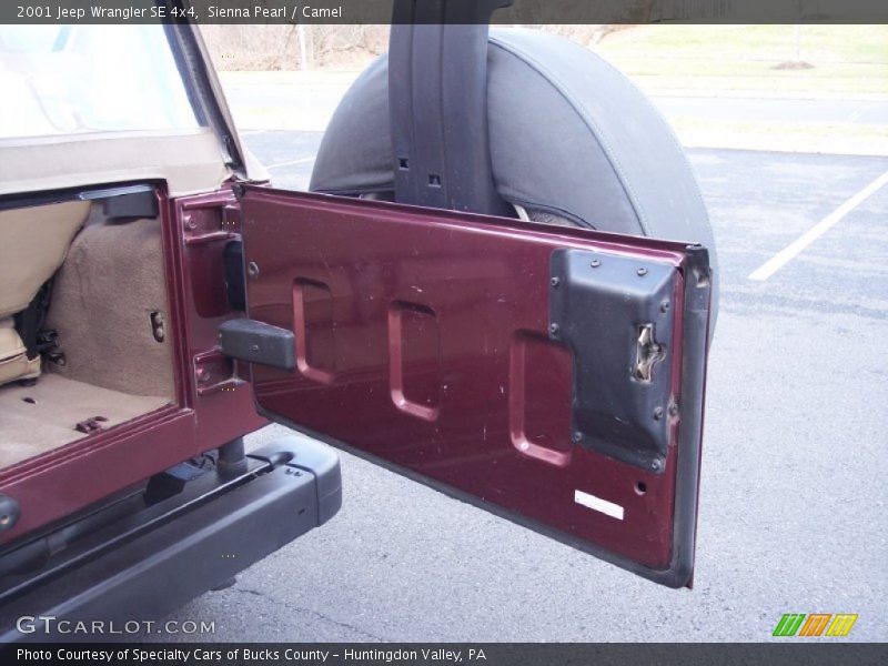 Sienna Pearl / Camel 2001 Jeep Wrangler SE 4x4