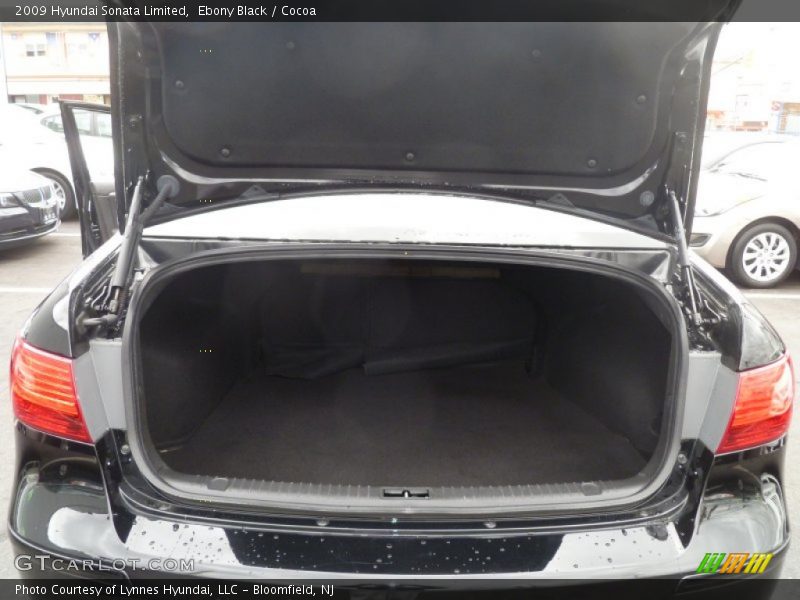 Ebony Black / Cocoa 2009 Hyundai Sonata Limited