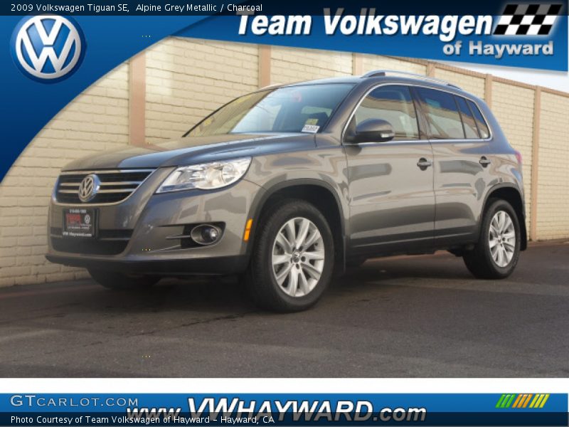 Alpine Grey Metallic / Charcoal 2009 Volkswagen Tiguan SE