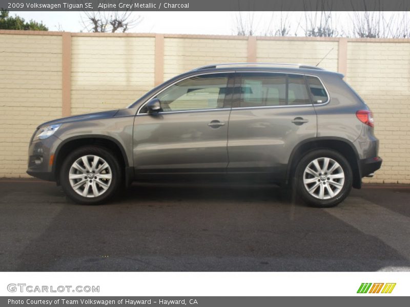 Alpine Grey Metallic / Charcoal 2009 Volkswagen Tiguan SE