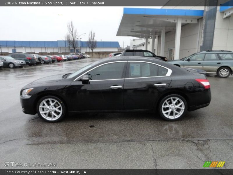 Super Black / Charcoal 2009 Nissan Maxima 3.5 SV Sport