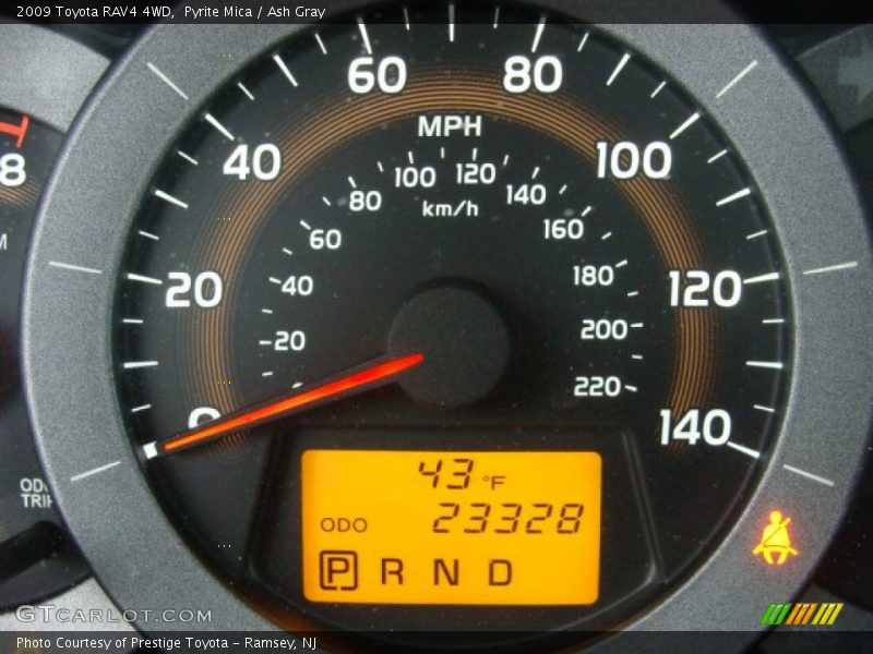 Pyrite Mica / Ash Gray 2009 Toyota RAV4 4WD