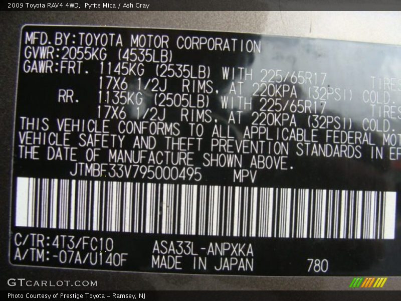 Pyrite Mica / Ash Gray 2009 Toyota RAV4 4WD