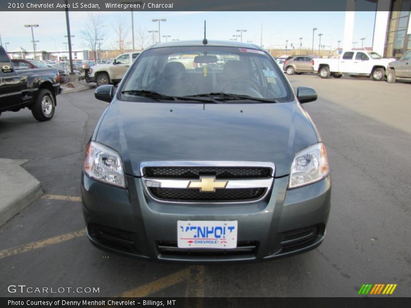 Wintergreen / Charcoal 2010 Chevrolet Aveo LS Sedan