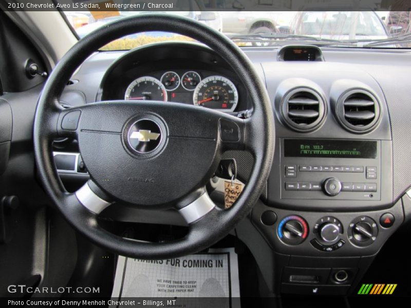 Wintergreen / Charcoal 2010 Chevrolet Aveo LS Sedan