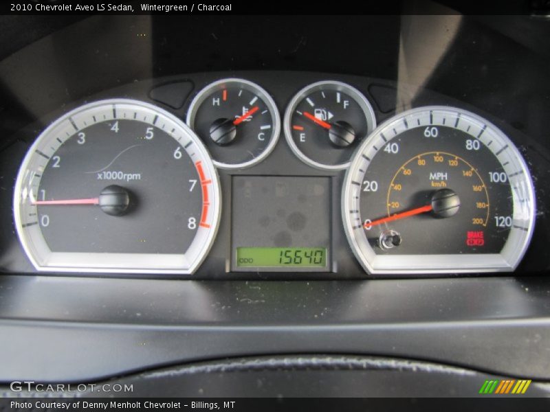 Wintergreen / Charcoal 2010 Chevrolet Aveo LS Sedan