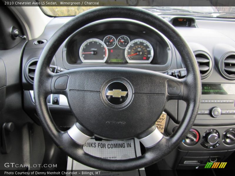Wintergreen / Charcoal 2010 Chevrolet Aveo LS Sedan