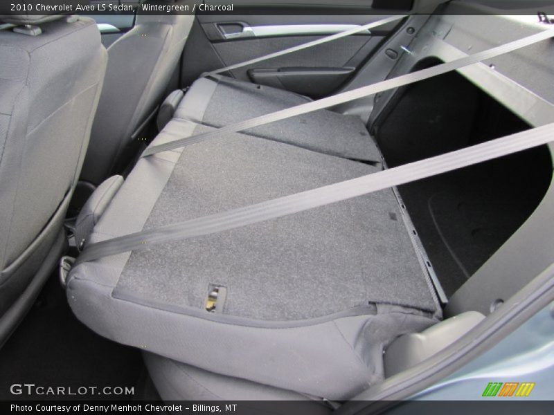 Wintergreen / Charcoal 2010 Chevrolet Aveo LS Sedan