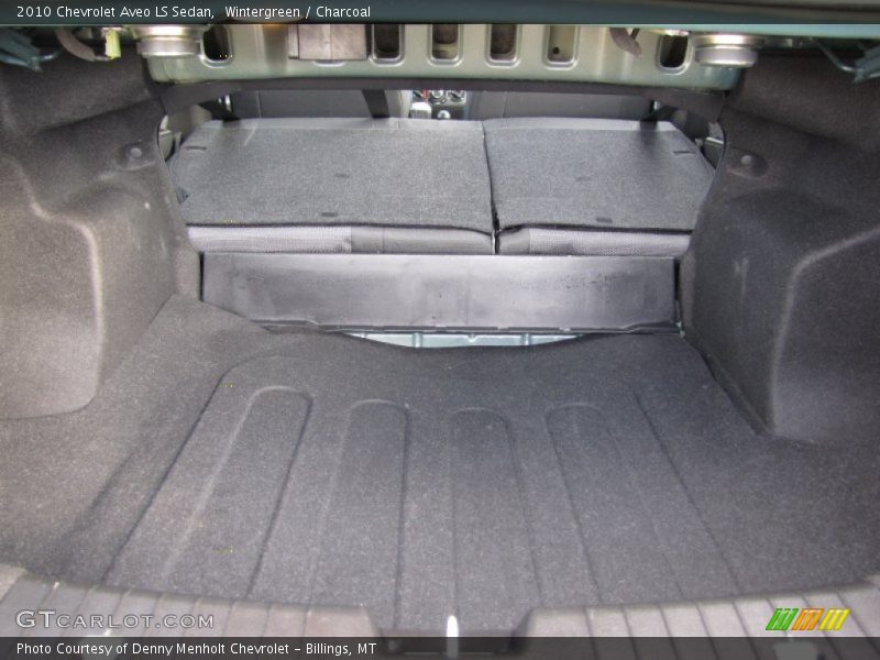 Wintergreen / Charcoal 2010 Chevrolet Aveo LS Sedan